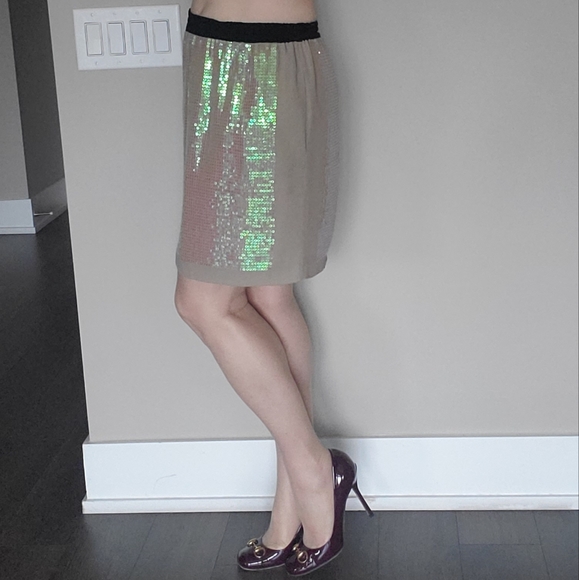 ๐ 2X HOST PICK ๐ BCBG MaxAzria Sequins Silk Skirt - Picture 7 of 15